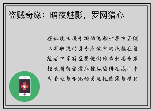 盗贼奇缘：暗夜魅影，罗网猎心